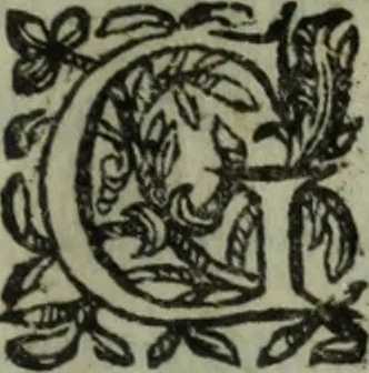 An illustration from Les oevvres, 1628, leaf 290