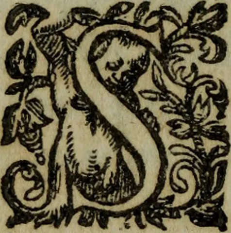 An illustration from Les oevvres, 1628, leaf 585