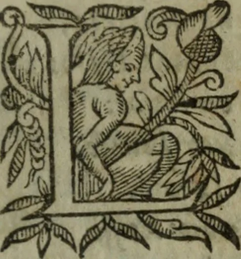 An illustration from Les oevvres, 1620, leaf 206