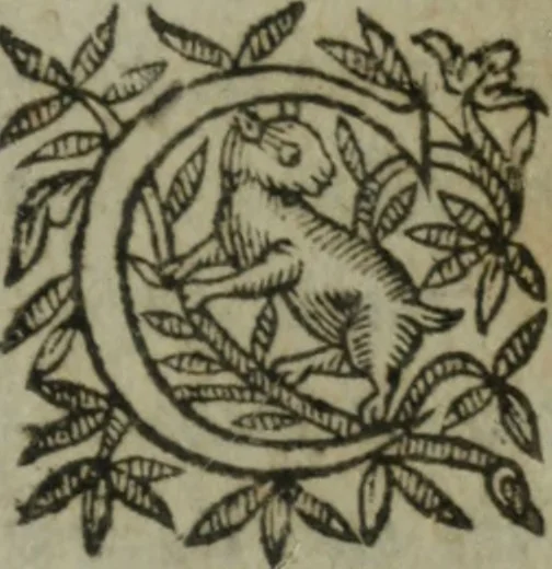 An illustration from Les oevvres, 1620, leaf 356