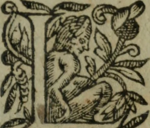 An illustration from Les oevvres, 1620, leaf 364