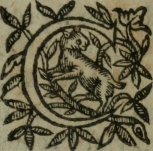An illustration from Les oevvres, 1620, leaf 368