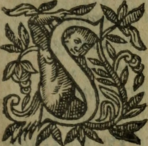 An illustration from Les oevvres, 1620, leaf 408