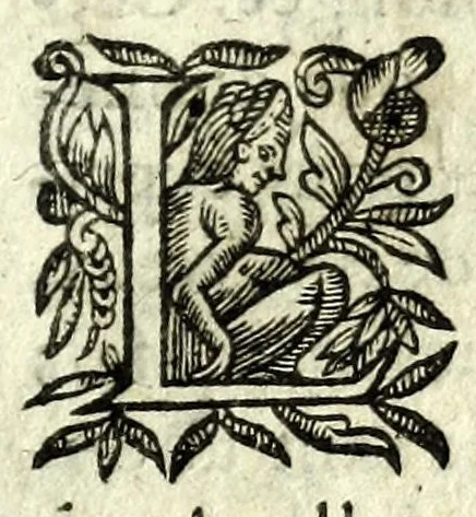 An illustration from Les oevvres de Brvscambille : contenant ses fantasies, imaginations, paradoxes, & autres discours comiques : le tout nouuellement tiré de l'escarcelle de ses imaginations, 1634, leaf 249