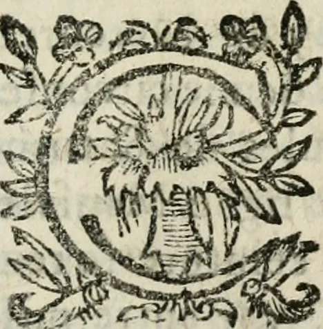 An illustration from Les oevvres de M. Iean Belot ... Contenant la chiromence physionomie, l'art de memoire de Raymond Lulle; traicté des diuinations, augures & songes; les sciences steganographiques, paulines, armadelles & lullistes; l'art de doctement prescher & haranguer, &c, 1662, leaf 148