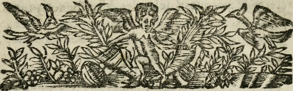 An illustration from Les oevvres de M. Iean Belot ... Contenant la chiromence physionomie, l'art de memoire de Raymond Lulle; traicté des diuinations, augures & songes; les sciences steganographiques, paulines, armadelles & lullistes; l'art de doctement prescher & haranguer, &c, 1662, leaf 22