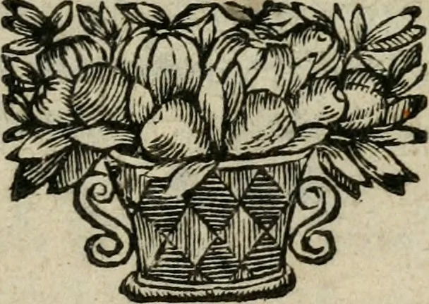 An illustration from Les oevvres de M. Iean Belot ... Contenant la chiromence physionomie, l'art de memoire de Raymond Lulle; traicté des diuinations, augures & songes; les sciences steganographiques, paulines, armadelles & lullistes; l'art de doctement prescher & haranguer, &c, 1662, leaf 6