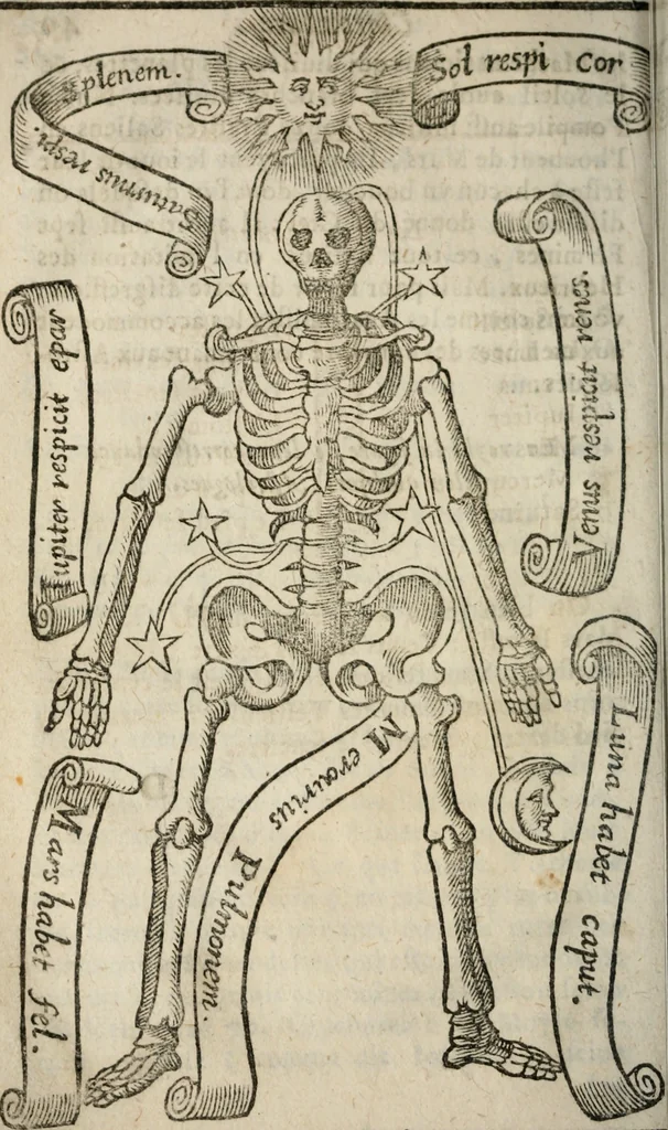 An illustration from Les oevvres de M. Iean Belot ... Contenant la chiromence physionomie, l'art de memoire de Raymond Lulle; traicté des diuinations, augures & songes; les sciences steganographiques, paulines, armadelles & lullistes; l'art de doctement prescher & haranguer, &c, 1662, leaf 71