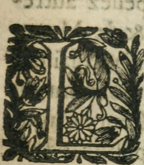 An illustration from Les oevvres morales et politiqves de Messire François Bacon, 1636, leaf 214