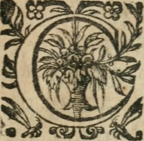 An illustration from Les oevvres morales et politiqves de Messire François Bacon, 1636, leaf 30