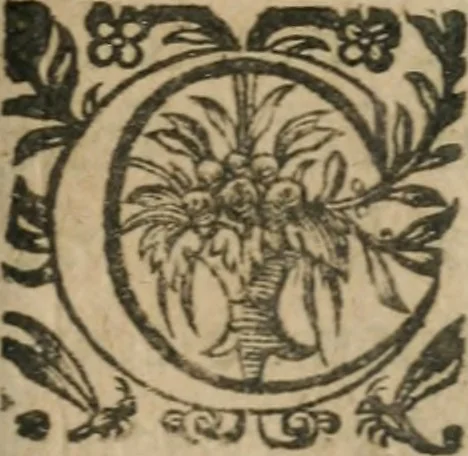 An illustration from Les oevvres morales et politiqves de Messire François Bacon, 1636, leaf 302