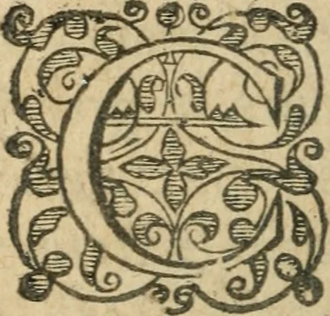 An illustration from Les oevvres morales et politiqves de Messire François Bacon, 1636, leaf 305