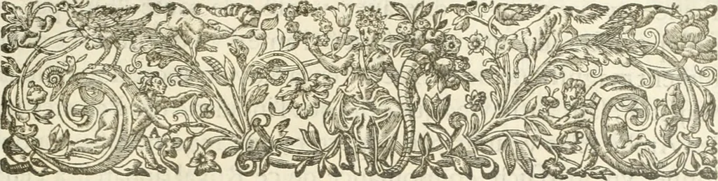 An illustration from Le soleil au signe du Lyon : d'ou quelques paralleles sont tirez avec le tres-chrestien, tres-iuste, & tres-victorieux monarque Louys XIII. roy de France & de Nauarre, en son entree triomphante dans sa ville de Lyon : ensemble un sommaire recit de tout ce qui s'est passé de remarquable en ladite entree de sa majesté, & de la plus illustre princesse de la terre, Anne d'Austriche, royne de France & de Nauarre, dans ladite ville de Lyon le 11. Decembre 1622, 1623, leaf 10