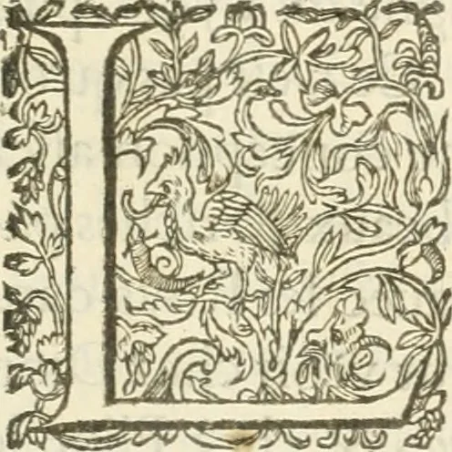 An illustration from Le soleil au signe du Lyon : d'ou quelques paralleles sont tirez avec le tres-chrestien, tres-iuste, & tres-victorieux monarque Louys XIII. roy de France & de Nauarre, en son entree triomphante dans sa ville de Lyon : ensemble un sommaire recit de tout ce qui s'est passé de remarquable en ladite entree de sa majesté, & de la plus illustre princesse de la terre, Anne d'Austriche, royne de France & de Nauarre, dans ladite ville de Lyon le 11. Decembre 1622, 1623, leaf 10