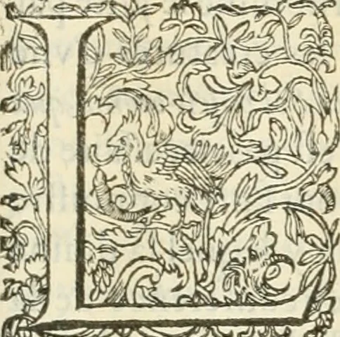 An illustration from Le soleil au signe du Lyon : d'ou quelques paralleles sont tirez avec le tres-chrestien, tres-iuste, & tres-victorieux monarque Louys XIII. roy de France & de Nauarre, en son entree triomphante dans sa ville de Lyon : ensemble un sommaire recit de tout ce qui s'est passé de remarquable en ladite entree de sa majesté, & de la plus illustre princesse de la terre, Anne d'Austriche, royne de France & de Nauarre, dans ladite ville de Lyon le 11. Decembre 1622, 1623, leaf 112