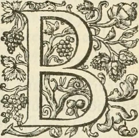An illustration from Le soleil au signe du Lyon : d'ou quelques paralleles sont tirez avec le tres-chrestien, tres-iuste, & tres-victorieux monarque Louys XIII. roy de France & de Nauarre, en son entree triomphante dans sa ville de Lyon : ensemble un sommaire recit de tout ce qui s'est passé de remarquable en ladite entree de sa majesté, & de la plus illustre princesse de la terre, Anne d'Austriche, royne de France & de Nauarre, dans ladite ville de Lyon le 11. Decembre 1622, 1623, leaf 136