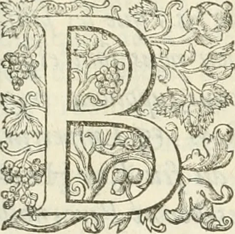 An illustration from Le soleil au signe du Lyon : d'ou quelques paralleles sont tirez avec le tres-chrestien, tres-iuste, & tres-victorieux monarque Louys XIII. roy de France & de Nauarre, en son entree triomphante dans sa ville de Lyon : ensemble un sommaire recit de tout ce qui s'est passé de remarquable en ladite entree de sa majesté, & de la plus illustre princesse de la terre, Anne d'Austriche, royne de France & de Nauarre, dans ladite ville de Lyon le 11. Decembre 1622, 1623, leaf 144