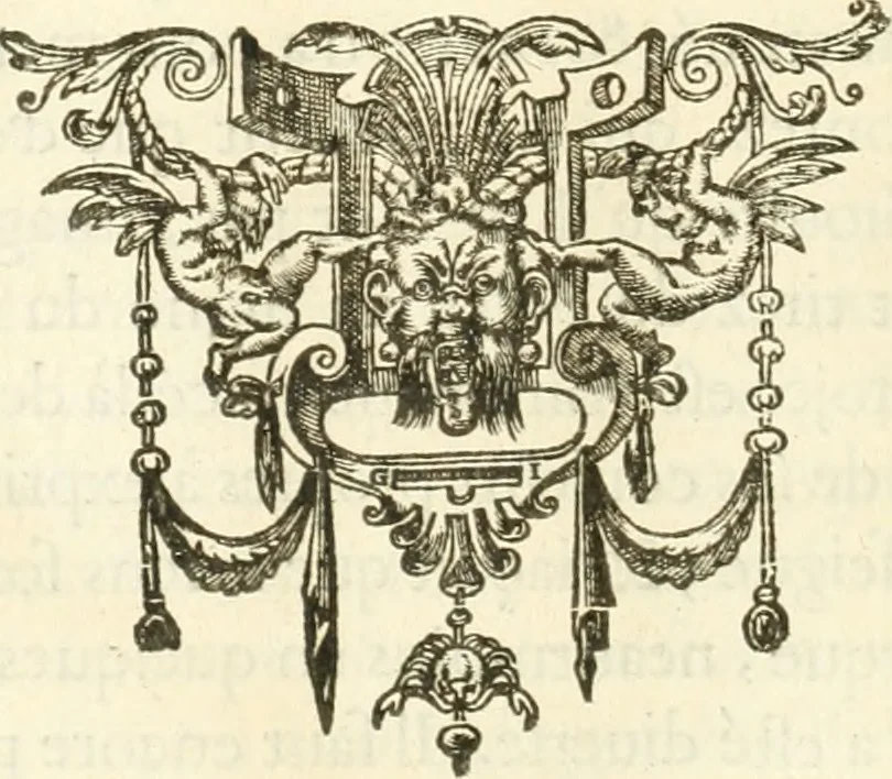 An illustration from Le soleil au signe du Lyon : d'ou quelques paralleles sont tirez avec le tres-chrestien, tres-iuste, & tres-victorieux monarque Louys XIII. roy de France & de Nauarre, en son entree triomphante dans sa ville de Lyon : ensemble un sommaire recit de tout ce qui s'est passé de remarquable en ladite entree de sa majesté, & de la plus illustre princesse de la terre, Anne d'Austriche, royne de France & de Nauarre, dans ladite ville de Lyon le 11. Decembre 1622, 1623, leaf 19