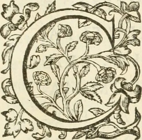 An illustration from Le soleil au signe du Lyon : d'ou quelques paralleles sont tirez avec le tres-chrestien, tres-iuste, & tres-victorieux monarque Louys XIII. roy de France & de Nauarre, en son entree triomphante dans sa ville de Lyon : ensemble un sommaire recit de tout ce qui s'est passé de remarquable en ladite entree de sa majesté, & de la plus illustre princesse de la terre, Anne d'Austriche, royne de France & de Nauarre, dans ladite ville de Lyon le 11. Decembre 1622, 1623, leaf 20