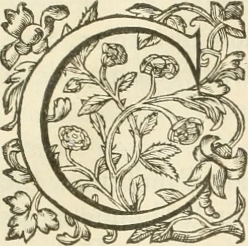 An illustration from Le soleil au signe du Lyon : d'ou quelques paralleles sont tirez avec le tres-chrestien, tres-iuste, & tres-victorieux monarque Louys XIII. roy de France & de Nauarre, en son entree triomphante dans sa ville de Lyon : ensemble un sommaire recit de tout ce qui s'est passé de remarquable en ladite entree de sa majesté, & de la plus illustre princesse de la terre, Anne d'Austriche, royne de France & de Nauarre, dans ladite ville de Lyon le 11. Decembre 1622, 1623, leaf 34