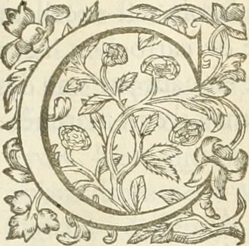 An illustration from Le soleil au signe du Lyon : d'ou quelques paralleles sont tirez avec le tres-chrestien, tres-iuste, & tres-victorieux monarque Louys XIII. roy de France & de Nauarre, en son entree triomphante dans sa ville de Lyon : ensemble un sommaire recit de tout ce qui s'est passé de remarquable en ladite entree de sa majesté, & de la plus illustre princesse de la terre, Anne d'Austriche, royne de France & de Nauarre, dans ladite ville de Lyon le 11. Decembre 1622, 1623, leaf 58