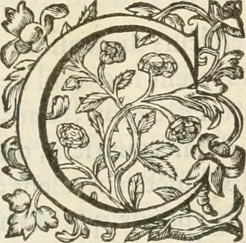An illustration from Le soleil au signe du Lyon : d'ou quelques paralleles sont tirez avec le tres-chrestien, tres-iuste, & tres-victorieux monarque Louys XIII. roy de France & de Nauarre, en son entree triomphante dans sa ville de Lyon : ensemble un sommaire recit de tout ce qui s'est passé de remarquable en ladite entree de sa majesté, & de la plus illustre princesse de la terre, Anne d'Austriche, royne de France & de Nauarre, dans ladite ville de Lyon le 11. Decembre 1622, 1623, leaf 68