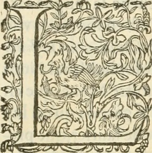 An illustration from Le soleil au signe du Lyon : d'ou quelques paralleles sont tirez avec le tres-chrestien, tres-iuste, & tres-victorieux monarque Louys XIII. roy de France & de Nauarre, en son entree triomphante dans sa ville de Lyon : ensemble un sommaire recit de tout ce qui s'est passé de remarquable en ladite entree de sa majesté, & de la plus illustre princesse de la terre, Anne d'Austriche, royne de France & de Nauarre, dans ladite ville de Lyon le 11. Decembre 1622, 1623, leaf 82
