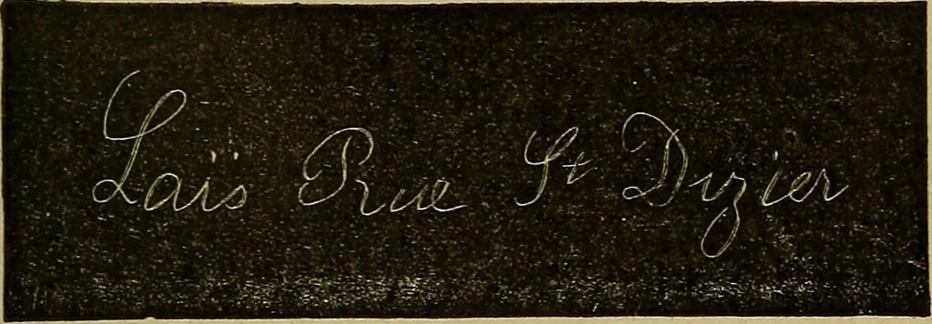 An illustration from Le somnambulisme provoqué : études physiologiques et psychologiques, 1886, leaf 248