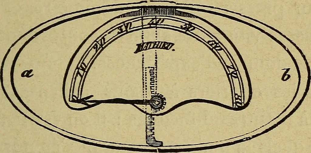 An illustration from Le somnambulisme provoqué : études physiologiques et psychologiques, 1886, leaf 92