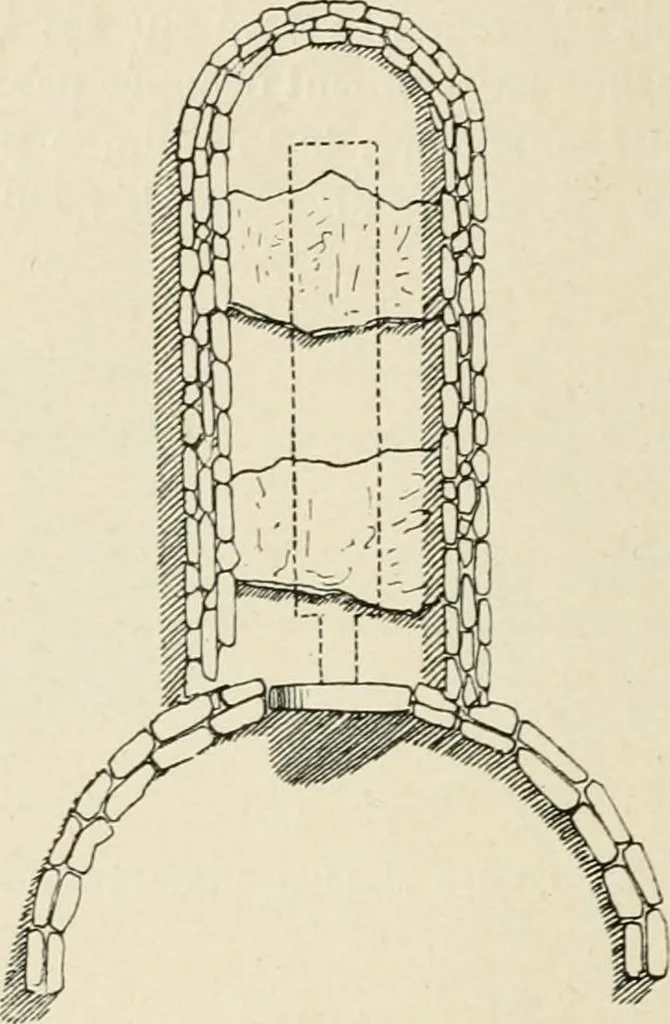 An illustration from Les origines de l'édifice hypostyle en Grèce, en Orient et chez les romains, 1913, leaf 33