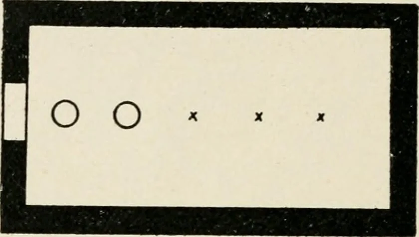 An illustration from Les origines de l'édifice hypostyle en Grèce, en Orient et chez les romains, 1913, leaf 65