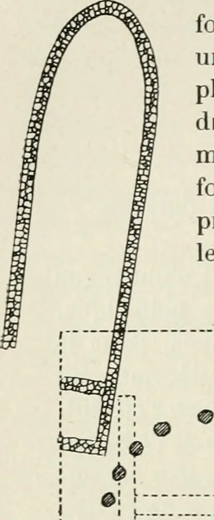 An illustration from Les origines de l'édifice hypostyle en Grèce, en Orient et chez les romains, 1913, leaf 93