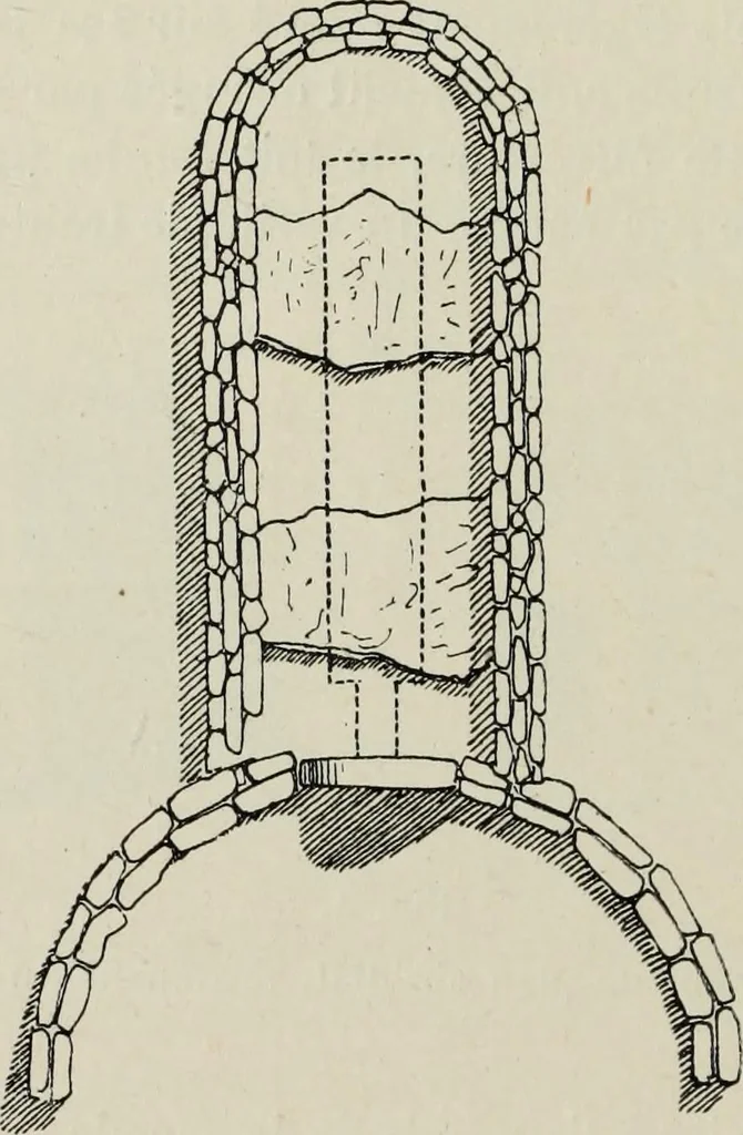 An illustration from Les origines de l'édifice hypostyle en Grèce, en Orient et chez les romains, 1913, leaf 35