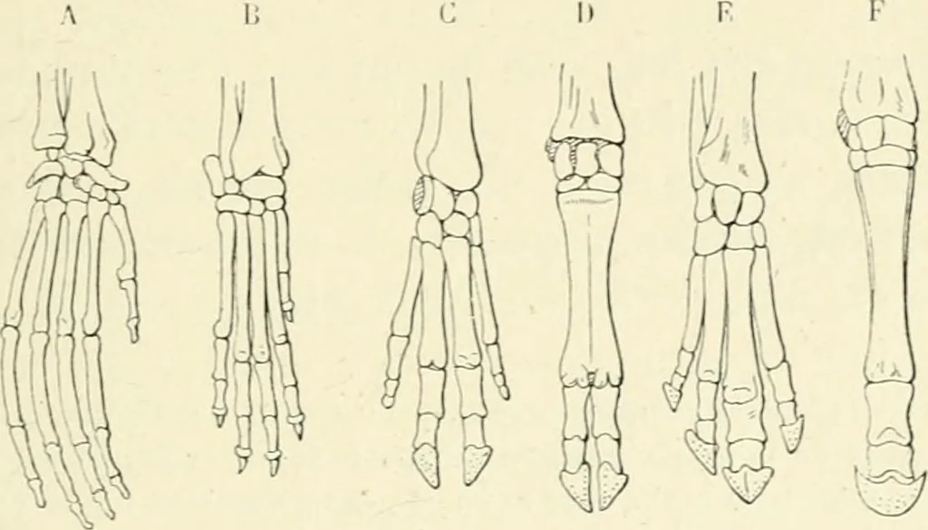 An illustration from Les origines : questions d'apologétique, 1890, leaf 118