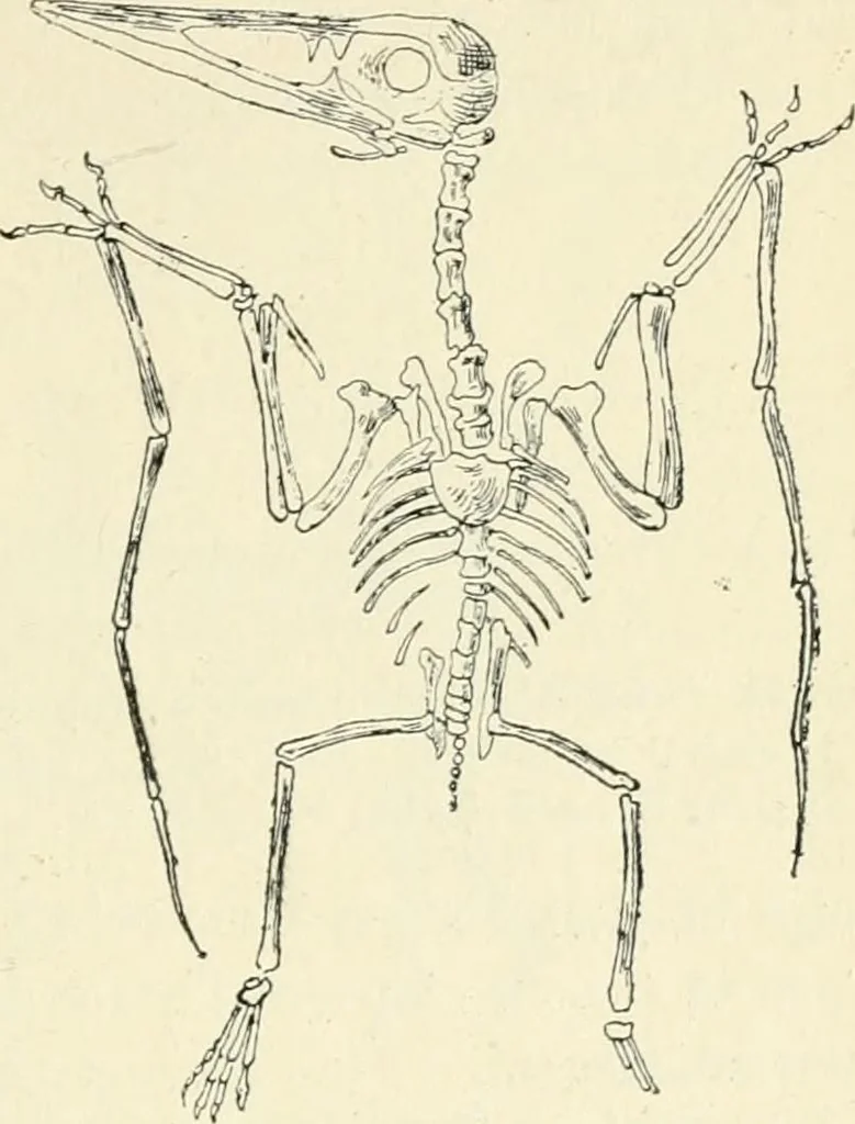 An illustration from Les origines : questions d'apologétique, 1890, leaf 128