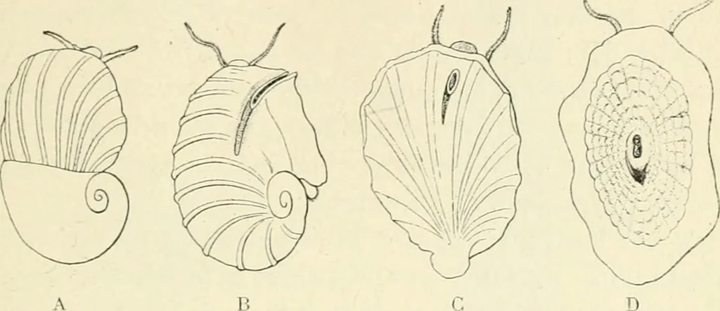 An illustration from Les origines : questions d'apologétique, 1890, leaf 132