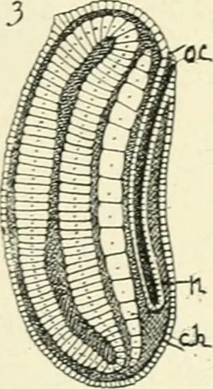 An illustration from Les origines : questions d'apologétique, 1890, leaf 134