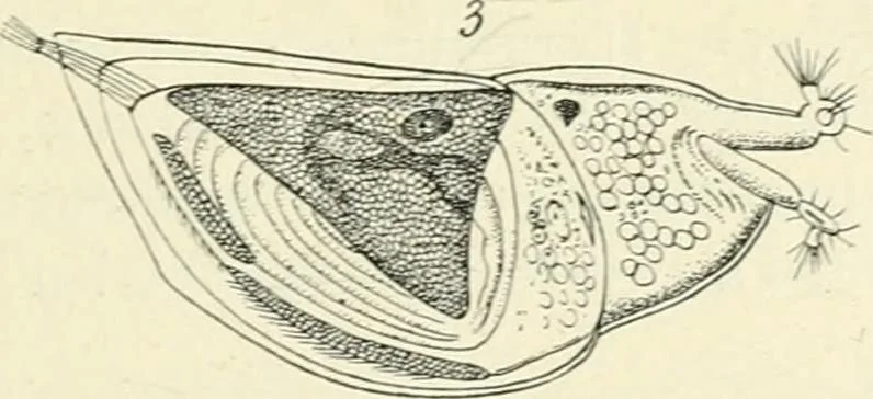 An illustration from Les origines : questions d'apologétique, 1890, leaf 138