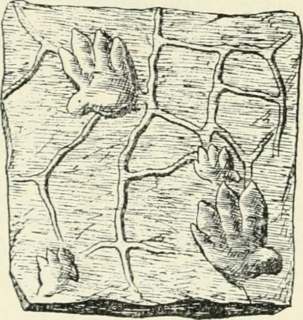 An illustration from Les origines : questions d'apologétique, 1890, leaf 155
