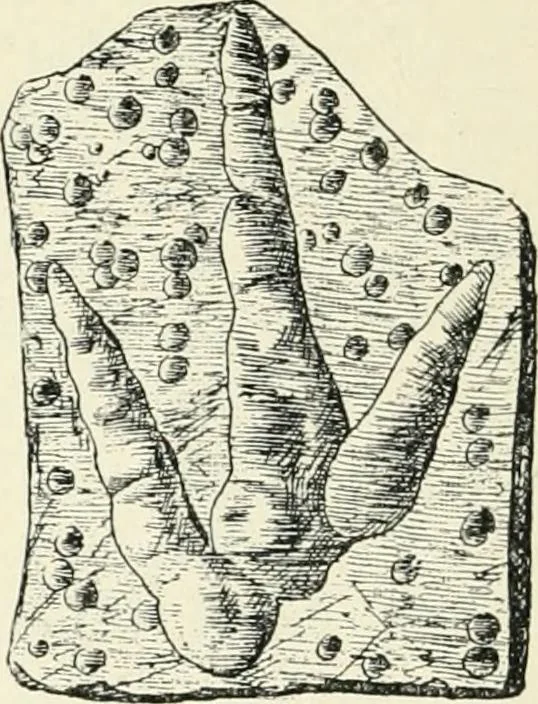 An illustration from Les origines : questions d'apologétique, 1890, leaf 155