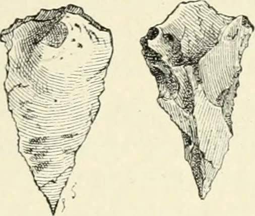 An illustration from Les origines : questions d'apologétique, 1890, leaf 156