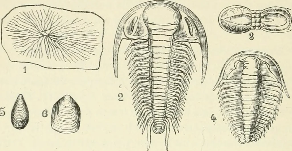 An illustration from Les origines : questions d'apologétique, 1890, leaf 177