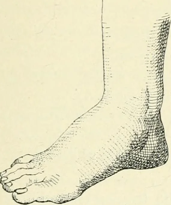 An illustration from Les origines : questions d'apologétique, 1890, leaf 212