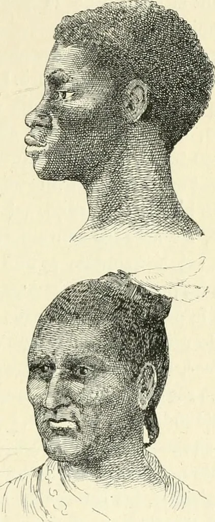 An illustration from Les origines : questions d'apologétique, 1890, leaf 230