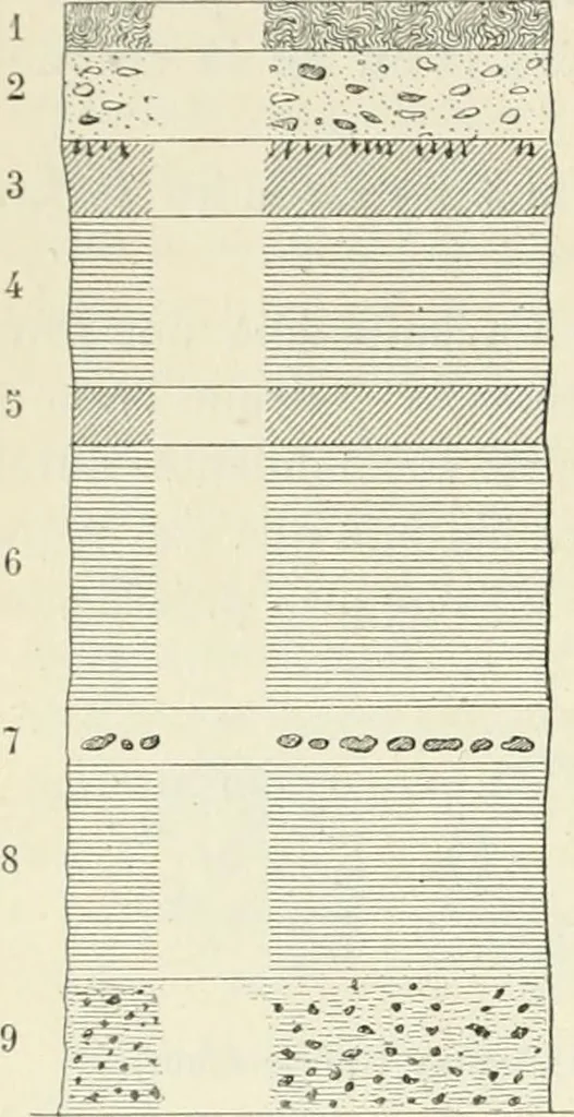 An illustration from Les origines : questions d'apologétique, 1890, leaf 287