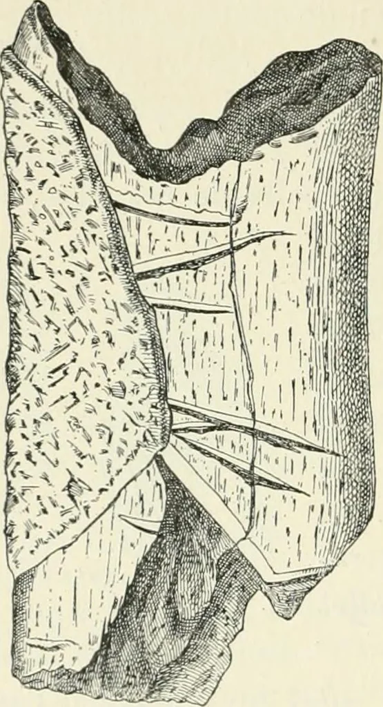 An illustration from Les origines : questions d'apologétique, 1890, leaf 291