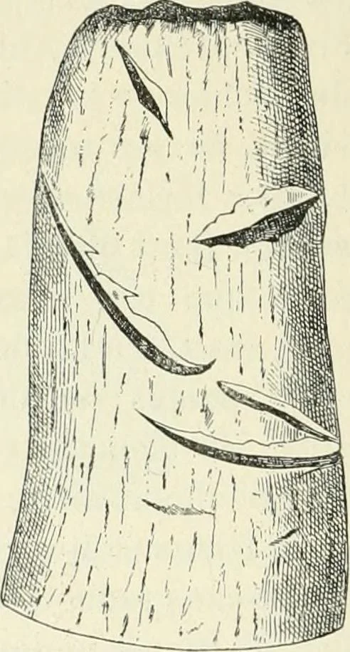 An illustration from Les origines : questions d'apologétique, 1890, leaf 291
