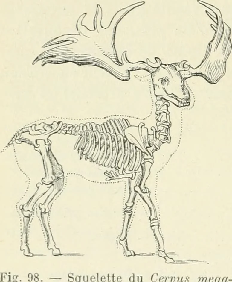 An illustration from Les origines : questions d'apologétique, 1890, leaf 319