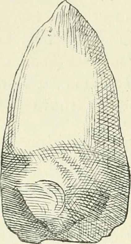 An illustration from Les origines : questions d'apologétique, 1890, leaf 327