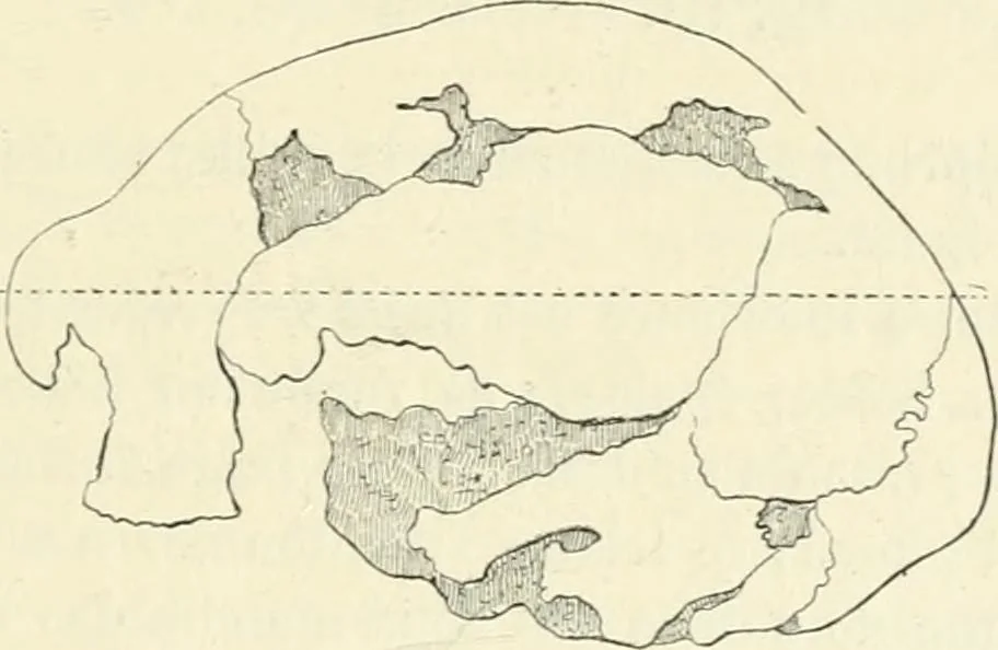An illustration from Les origines : questions d'apologétique, 1890, leaf 332